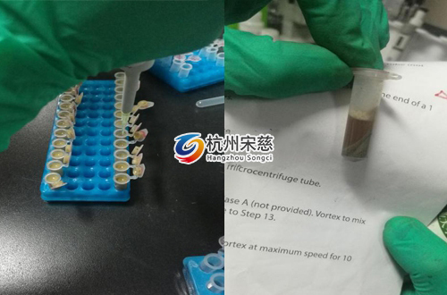 <a href=http://www.xinhe888.cn/prouduct/lengdong/ target=_blank class=infotextkey>冷凍研磨儀</a>